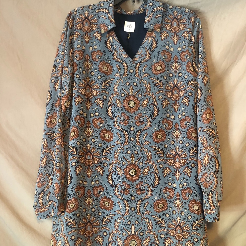 Cabi Provincial dress